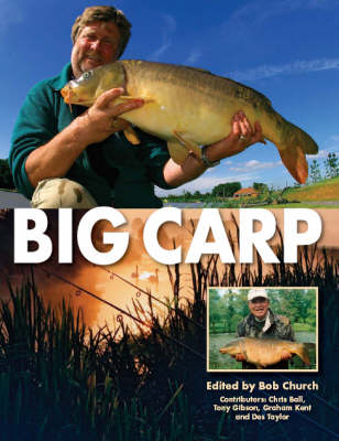 Book cover for Big Carp