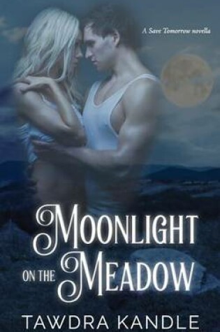 Cover of Moonlight on the Meadow