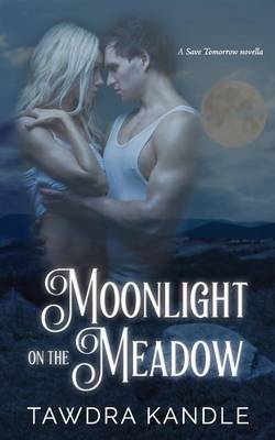 Cover of Moonlight on the Meadow