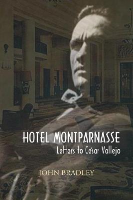 Book cover for Hotel Montparnasse