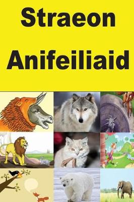 Book cover for Straeon Anifeiliaid