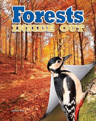 Book cover for Forests Inside Out