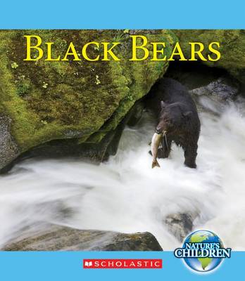 Book cover for Black Bears