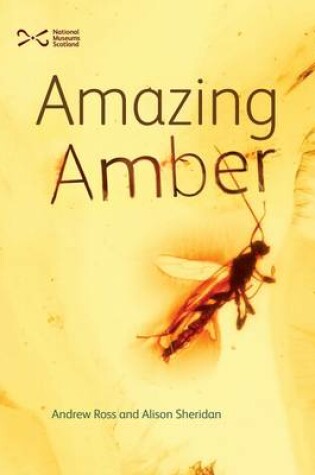 Cover of Amazing Amber