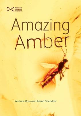 Book cover for Amazing Amber