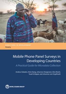 Book cover for Mobile phone panel surveys in developing countries