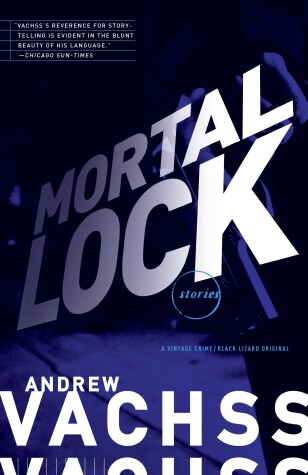 Book cover for Mortal Lock