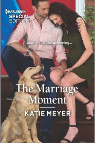 Cover of The Marriage Moment