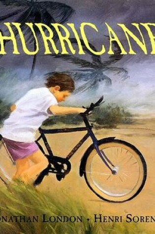 Cover of Hurricane!