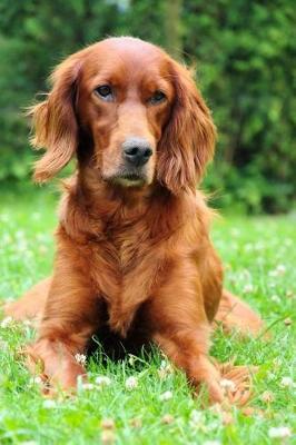 Book cover for The Irish Setter Dog Journal