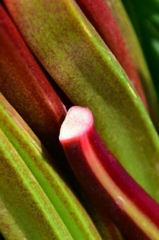 Cover of Freshly Harvested Rhubarb Journal