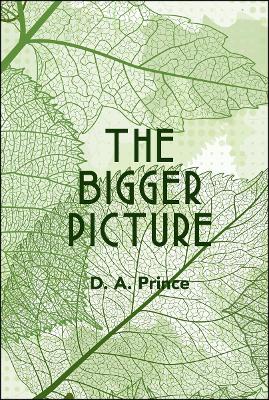 Book cover for The Bigger Picture