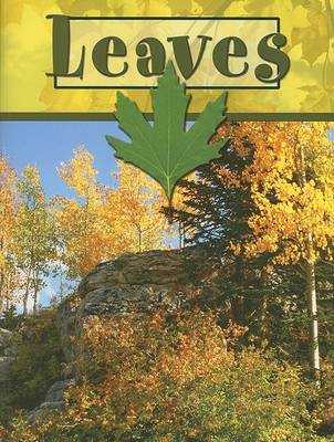 Book cover for Leaves