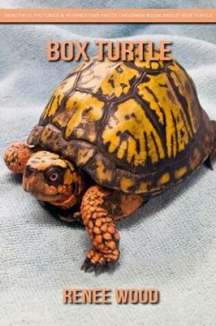 Cover of Box Turtle