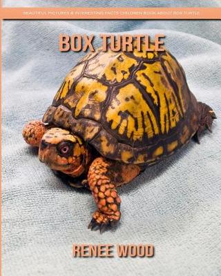 Book cover for Box Turtle