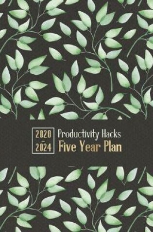 Cover of Productivity Hacks Five Year Plan