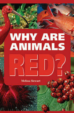 Cover of Why are Animals Red?