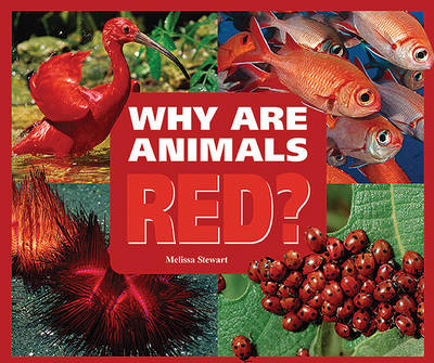 Book cover for Why are Animals Red?