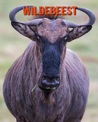 Book cover for Wildebeest