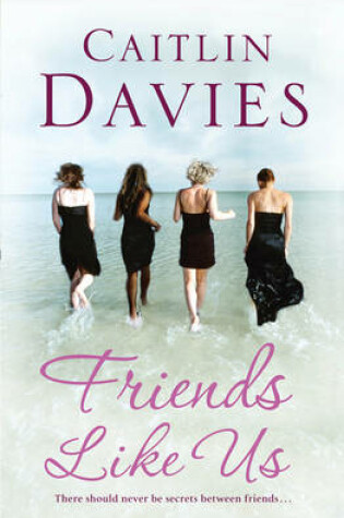 Cover of Friends Like Us