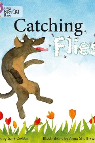 Cover of Catching Flies