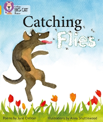 Book cover for Catching Flies