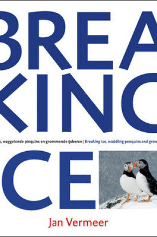 Cover of Breaking Ice