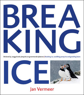 Book cover for Breaking Ice