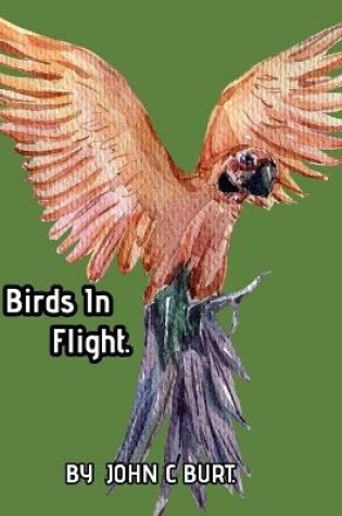 Cover of Birds In Flight.