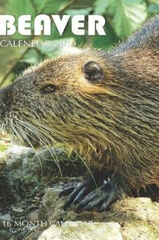 Cover of Beaver Calendar 2019