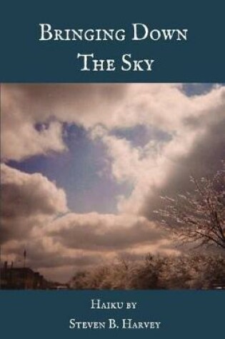 Cover of Bringing Down the Sky