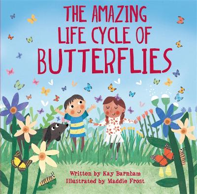 Cover of Look and Wonder: The Amazing Life Cycle of Butterflies