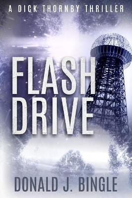 Book cover for Flash Drive