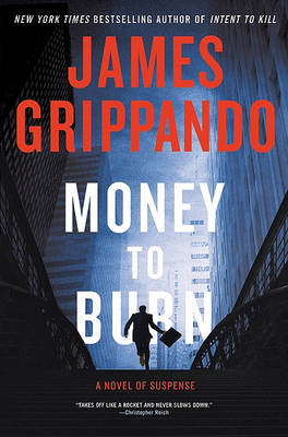 Book cover for Money to Burn