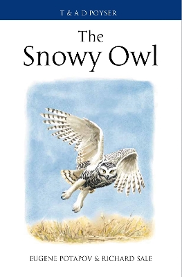 Book cover for The Snowy Owl