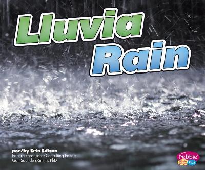 Book cover for Lluvia/Rain