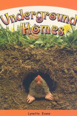 Cover of Underground Homes