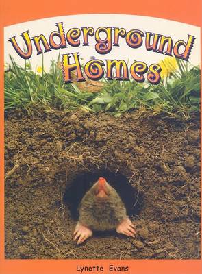 Cover of Underground Homes