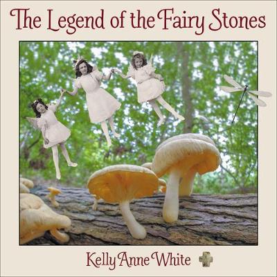 Book cover for The Legend of the Fairy Stones