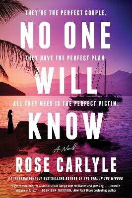 Book cover for No One Will Know