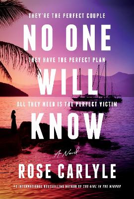 Book cover for No One Will Know