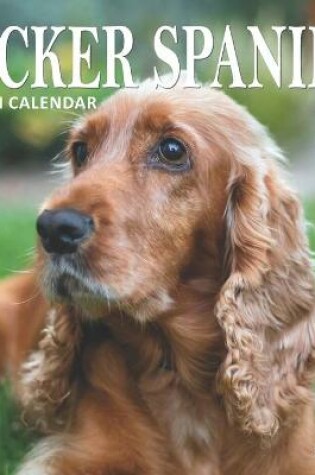 Cover of Cocker Spaniel