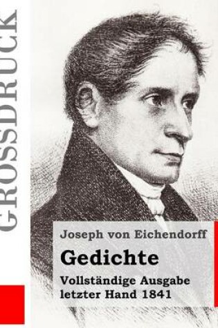 Cover of Gedichte (Grossdruck)