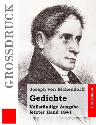 Book cover for Gedichte (Grossdruck)