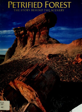 Cover of Petrified Forest