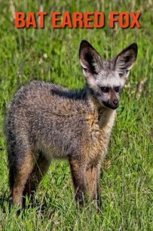 Cover of Bat Eared Fox