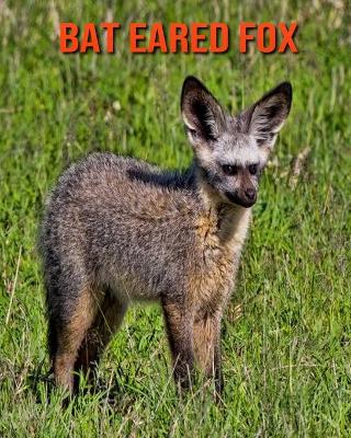 Book cover for Bat Eared Fox