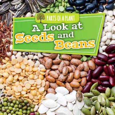 Book cover for A Look at Seeds and Beans