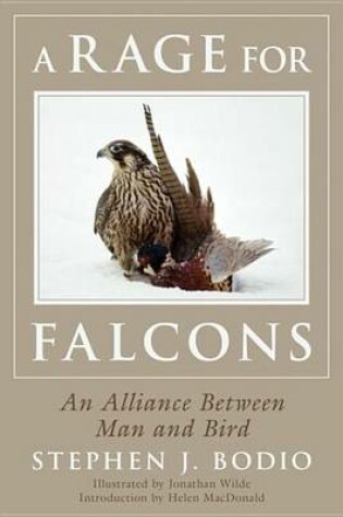 Cover of A Rage for Falcons