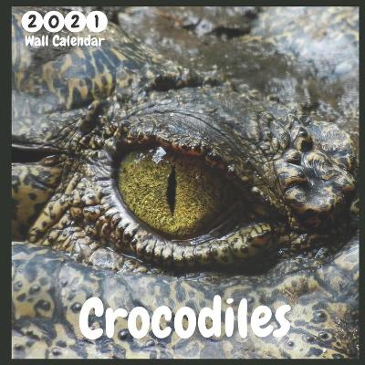 Book cover for Crocodiles 2021 Wall Calendar